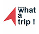 What a trip festival