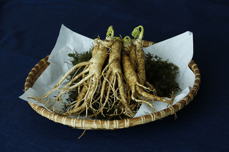 naturopathie